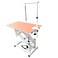 NutraPet Grooming Tables 110cm x 60 cm Hydraulic Manual