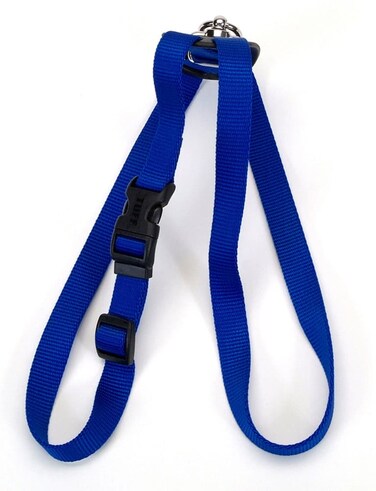 Coastal 1in Size Right Harness Large Blue