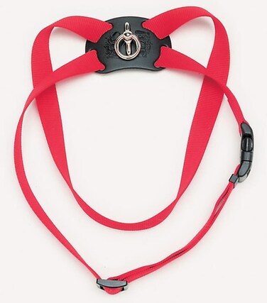 Coastal 1in Size Right Harness Red Large