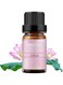 BURIBURI Lotus Essential Oil 100% Pure, Undiluted, Natural, Organic Aromatherapy Essential Oils 10ML