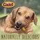 Cadet Pork Hide Shish Kabobs 18pk Dog Treats &amp; Chews