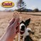 Cadet 10 pk Chicken N Veggie Crunchems Dog Treats &amp; Chews