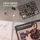 MI04 Mechanical Emperor Scorpion Model Kit for Men/Teens/Engineer/Hobbyist - 123 Pieces 3D Puzzle - ABS Plastic Model to Build - Steampunk Style