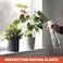 Auto Family 300 Ml Hand Pump Pressure Sprayer Bottle &ndash; Garden Plant Mister, Adjustable Nozzle, Multi-Purpose Water Spray Bottle for Lawn, Cleaning &amp; Home Use (White - 300 Ml - 3Pcs)