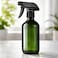 Auto Family 2 Pcs, 2L Hand Pump Pressure Sprayer Bottle &ndash; Garden Plant Mister, Adjustable Nozzle, Multi-Purpose Water Spray Bottle for Lawn, Cleaning &amp; Home Use (Green,Transparent)