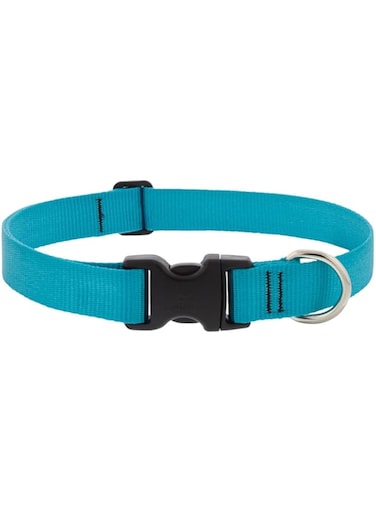Lupine Basics 1 in Aqua Adj. Collar 12"-20", 31-50cm