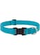 Lupine Basics 1 in Aqua Adj. Collar 12"-20", 31-50cm