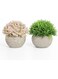 Artigreen 2 Pcs Artificial Plants Mini Fake Plants in Pots Small Faux Plants Decor Artificial Greenery for Home Bedroom Indoor Office Bathroom Farmhouse Room Coffee Table Decor