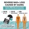 800 ملغ من NAD+ الليبوزومي مع 300 ملغ من ترانس-ريسفيراترول، أقصى امتصاص، مكمل غذائي لتعزيز NAD+ الفعلي من أجل شيخوخة صحية، طاقة خلوية، إصلاح الحمض النووي، وطول العمر - 60 كبسولة هلامية