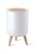 ANTOLE Trash Can with Lid 10L, Bathroom Trash Can with Lid,Office Garbage Can Waste Basket with Push Button, Nordic Small Trash Bin for Bedroom, Toilet, Kitchen,Pet Proof Trash Can (Style-round)