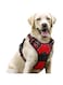 rabbitgoo Dog Harness, No-Pull Pet Harness with 2 Leash Clips, Adjustable Soft Padded Dog Vest, Reflective No-Choke Pet Oxford Vest with Easy Control Handle for Large Dogs, Red, L
