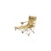 Vestro Foldable Camping Chair with Foam Padding, Footrest &amp; Cup Holder