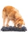 Paw 5 Dog Snuffle Mat for Dogs Small. Dog Toys Interactive - Reduces Boredom &amp; Anxiety. Premium Feeding Mat for Slow Eating &amp; Smell Training. Dog Brain Stimulating Toys + Small Dog Bed