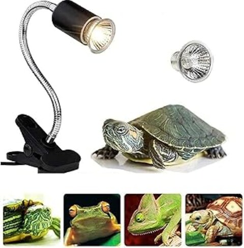 Buy Tortoise Heat Lamp, 50W Clamp-on Reptile Heat Bulb, 360°