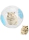 DAYONG Hamster Exercise Ball,Running Hamster Wheel 12cm Small Pet Jogging Training Activity Ball Toy for Hamster Gerbil (Blue)