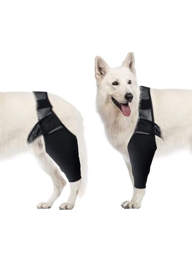 TERRIFI Dog Elbow Protector, Dog Elbow Brace Protector Pads, for Canine Elbow and Shoulder Support Elbow Hygroma, Dysplasia, Osteoarthritis, Elbow Calluses, for Medium Large Dog(XL)