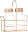 Harmony Table Top 2pcs Spice Shaker Set 90ml with Copper Lids