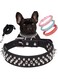 Spiked Dog Collar, Durable PU Leather Studded Dog Collar with Leash, Funny Mushrooms Rivet Small Puppy Dog Collars, Pet Cat Adjustable Collar (Black, L)