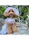 Dog Wedding Dress with Head Pieces, Luxury Lace Dog Bride Costume Soft Comfortable Dog Wedding Party Dress Bride Pet Apparel for Small Medium Large Dogs (White, M)