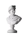 11.8 Inch Greek Statue of David, Classic Roman Bust Greek Mythology Sculpture for Home Decor,Large Resin Roman Goddess Apollo Sculpture for Home D&eacute;cor Resin Crafts for Sketch Practice Artist (White)