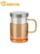 Borosilicate Glass Tea Mug, Tea Glasses with Stainless Steel Cup and Lid Loose