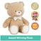 Gund Baby Sustainable Teddy Bear, Stuffed Animal Plush Made From RecycLED Materials, For Babies and Newborns, Brown/Cream, 13