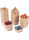 Tazweeq 60Pcs Pulp Fiber Berry Basket, Molded Containers Vented for Fruit, Small Produce Basket Containers, Fruit Tray Pulp Box