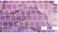 US Layout English language Silicone Keyboard Cover Skin For MacBook Air 13" 2020 With Touch ID Model:- A2179/A2337 M1 Chip, Keyboard Accessories" Purple Marble