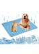 Sagreeny Dog Cooling Mat, Washable Pet Cooling Mat, No Water or Refrigeration Required, Collapsible Self- Cooling Pad for Dog Bed, Cat, Rabbit and Guinea Pig Cages (24 * 20inch)