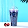 Fancy Capybara foam Tumblers Durable Cute Drinking Cup with Straw, Reusable Tumblers Semi Transparent Double Walled Tumblers