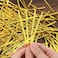 Fitto Golden Twist Ties 12cm - Multipurpose Cable Binder Fasteners