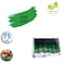 Fitto 75ml Acrylic Paint Light Green for Arts & Crafts and DIY Projects