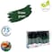 Fitto 75ml Acrylic Paint Grass Green for Art & DIY Projects
