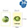 Fitto Vegitables Series Flash Cards 36 Sheets 12x7.7cm - Educational Learning Cards