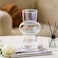 Fitto Elegant Transparent Glass Flower Vase 8x20.5cm &ndash; Clear Decorative Home Centerpiece
