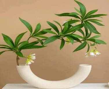 Fitto Tall Slim White Ceramic Vase 29x12cm Modern Home Decor