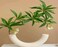 Fitto Tall Slim White Ceramic Vase 29x12cm Modern Home Decor