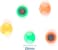 Fitto MAGNET 6 PC Assorted Set for Home, Office, and School Use