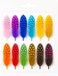 Fitto Feathers 12 PC Mix Color for Crafts, DIY Projects, Decorations, and Costumes