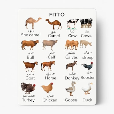Fitto Farm Animals Wall Art for Kids - Children's Playroom Decor with Arabic Design