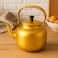 Fitto Golden Kettle 1.5L Electric Water Boiler, Stainless Steel, Fast Heating, Auto Shut-Off, Cordless Design