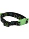 Aime Green Fireworks Collar For Cat