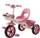 Lovely Baby Kids/Children Tricycle LB 6540 with Music &amp; LED Lights, EVA Wheels, Strong Steel Frame, Ride-On Toy,Recommended Ages for 1-3 Years - Pink