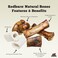 RedBarn Meaty Knuckle Bone