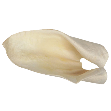 RedBarn Cow Ears
