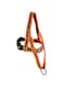 Doco Dca207 Athletica City Walker Mesh Harness, Medium/Large, Orange
