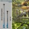 BONAI 3-in-1 Cordless Brushless Mini Chainsaw &amp; Electric Pruning Shears Set with Extendable High Pole, 6 Inch Chainsaw, 88VF 4.0Ah Battery, 2.5m Reach, BN-HK112