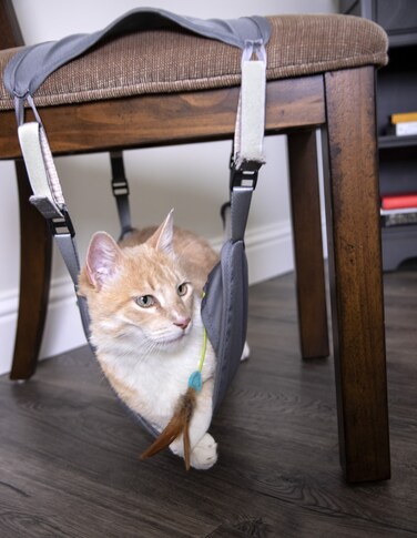 SmartyKat Happy Hammock Portable Plush Cat Hangout