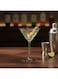 Box Elegant Glass Martini Glass for Entertaining