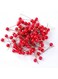 SWR Christmas Red Berry Stems Artificial Holly Berries Red Mini Berry Flower Ornament for Christmas Holiday Wreaths Home Decor, 100Pcs